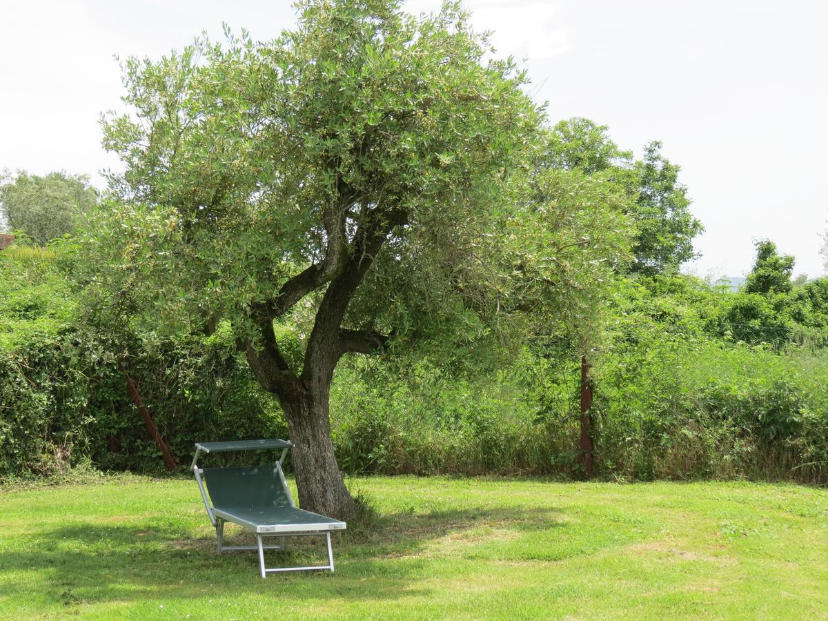Agriturismo Borgo Del Papa Badia  Екстериор снимка